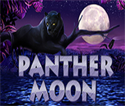 Panther Moon